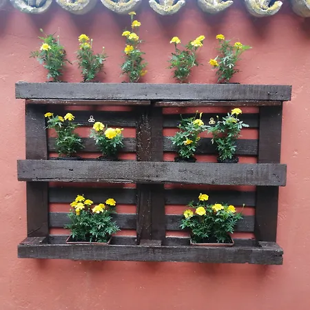 La Valle Del Poeta كاستيلْفيدارْدو